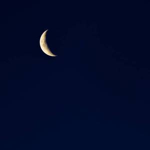 国产真实野战在线视频
